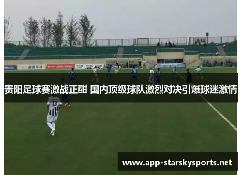 贵阳足球赛激战正酣 国内顶级球队激烈对决引爆球迷激情